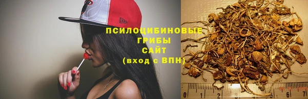 дживик Белоозёрский