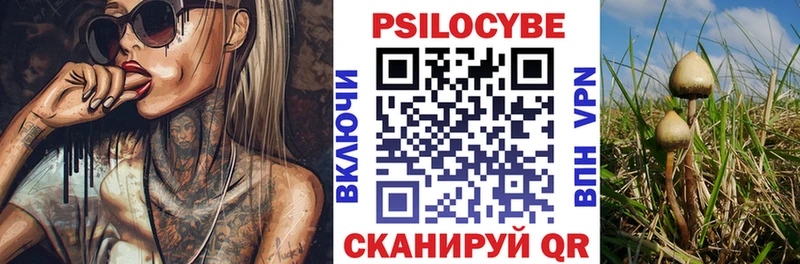 сколько стоит  нарко площадка телеграм  Псилоцибиновые грибы Cubensis  Няндома 